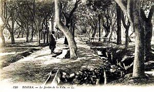 BISKRA - JARDIN DE LA VILLE